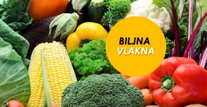 hemoroidi biljna vlakna